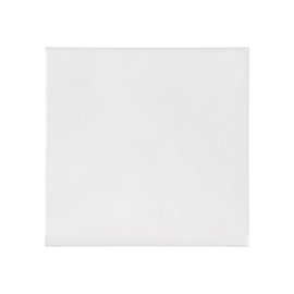 FLĪZES GRĪDAS RAL WHITE 20X20 (1.2)