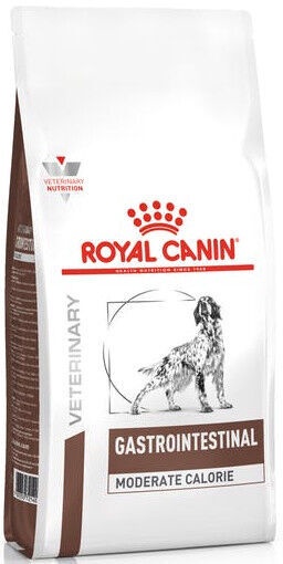 gastrointestinal royal canin