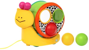 Bkids Speedy's Magical Shell 004424