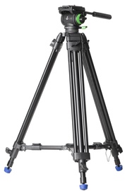 Genesis Base CVT-10 + VF-6.0 Video Kit