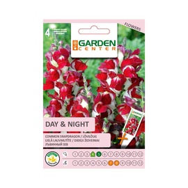 LIELĀ LAUVMUTĪTE DAY & NIGHT (GARDEN CENTER)