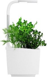 Tregren T-Series T3 Kitchen Garden White