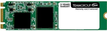 Team Group M.2 SSD Lite 1TB TM8PS5001TMC101