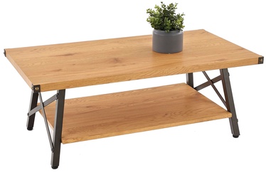 Kafijas galdiņš Halmar Katarina Golden Oak/Black, 1100x420x600 mm