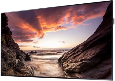 Monitorius Samsung PM55F-BC LH55PMFXTBC/EN