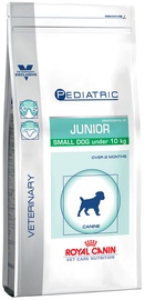 Royal Canin Pediatric Junior Small Dog 2kg