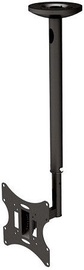 NewStar FPMA-C060 Ceiling Mount Black 10-40''