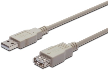 Assmann Cable USB / USB Beige 5m