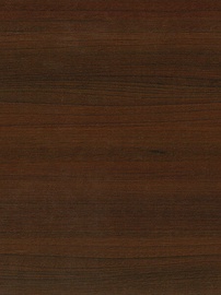 Spintos paviršius Bodzio Kitchen Cabinet, ruda