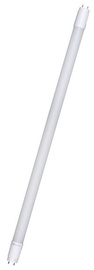 Lambipirn Actis LED, G13, 20 W, 1800 lm