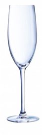 Šampanieša glāze Chef and Sommelier, stikls, 0.24 l