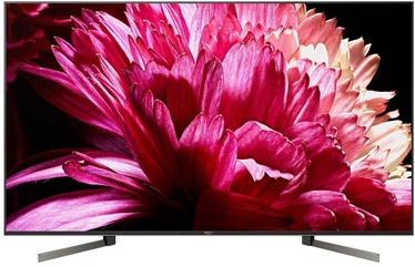 Televizorius Sony KD-55XG9505
