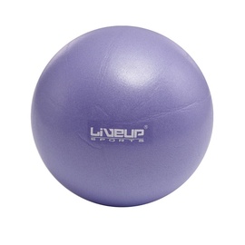 Mankštos kamuolys LS3225, 20cm