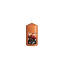 SVECE 0004800.181 (SPAAS)