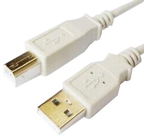 Laidas Brackton USB Male - USB Male B USB male, USB male, 3 m, balta