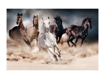 Signal Meble Horses Glass Painting 120x80cm