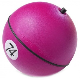 Europet Bernina D&D Adventure 8cm Purple