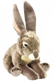 Pliušinis žaislas Dante National Geographic Hare, 22 cm