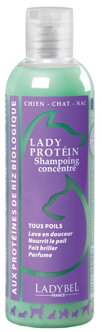Šampoon Ladybel, 0.2 l