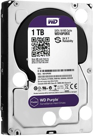 Kietasis diskas (HDD) Western Digital Purple WD10PURZ, 3.5", 1 TB