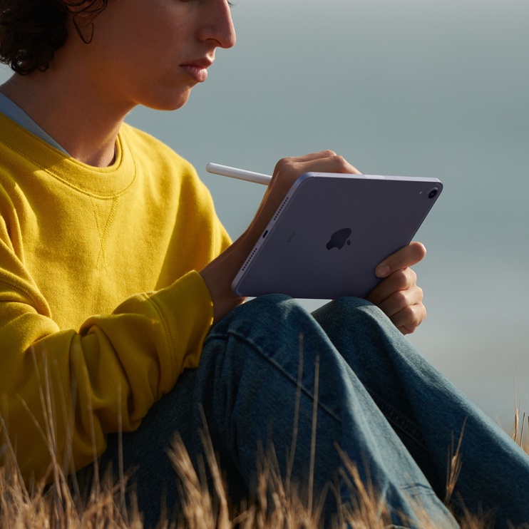 Планшет Apple iPad Mini Wi-Fi + Cellular 256GB Purple 2021