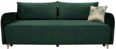 Black Red White Lajona Green