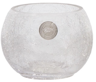 Vaas Home4you Bowl Crack, 10 cm, läbipaistev