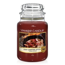 Svece aromātiskā Yankee Candle, 110 h, 168