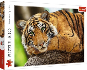 Trefl Puzzle Tiger 500pcs 759837