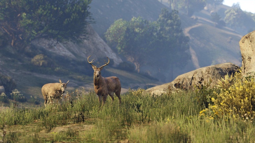 PlayStation 4 (PS4) mäng Rockstar Games Grand Theft Auto 5 PS4