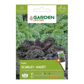 Sēklas Garden Center, dārza kāposti Scarlet-Kadet, 2 g