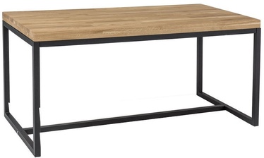 Kohvilaud Signal Meble Loras, 1100x600x540 mm