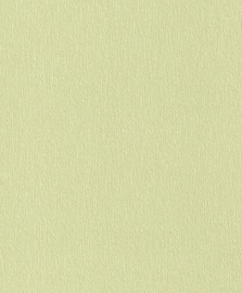 Tapetes Rasch Stock 863536, vinila, zaļa