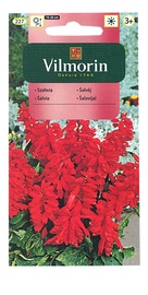 Salvijas sēklas Vilmorin 227