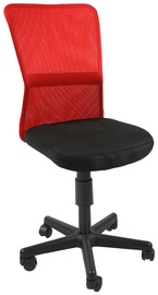 Evelekt Belice 27735 Black / Red
