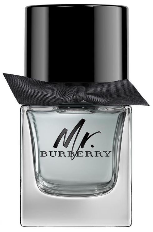 Tualetes ūdens Burberry Mr. Burberry, 50 ml