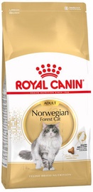 Royal Canin Norwegian Forest Cat 10kg