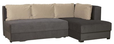 Bodzio Corner Sofa Judyta Right Velor Graphite/Beige