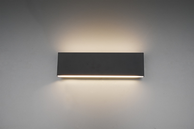 Светильник настенный Trio Concha, LED, 3000 °К