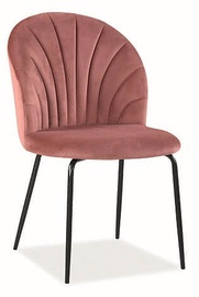 Valgomojo kėdė Signal Meble Lola Velvet Antique Pink, 1 vnt.