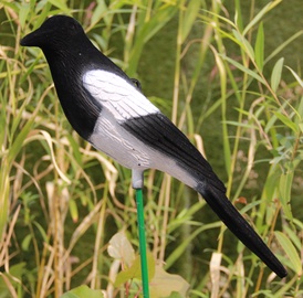 SN Decorative Bird Magpie S030