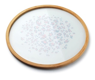 Mondex Leopard Rose Round Tray 38x2cm