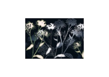 Fototapetai Komar 8-898, 368 x 254 cm