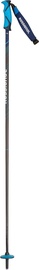 Suusakepid Rossignol Electra Carbon Womens Poles 115