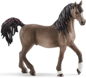 Žaislinė figūrėlė Schleich Horse Club Arabian Stallion 13907
