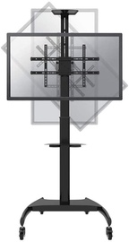 TV hoidik NewStar, 37-70", 50 kg