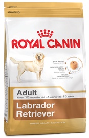 Sausas ėdalas šunims Royal Canin BHN Labrador Retvrievier Adult, 12 kg