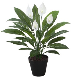 Home4you Artificial Green Plant Spathe H60cm