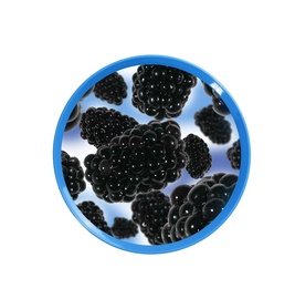 Paplāte SA.315 BERRIES