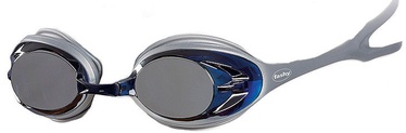 Fashy Power Mirror 4156 Silver